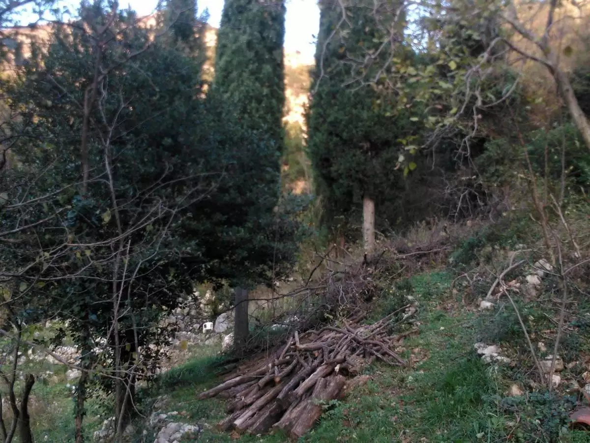 Land 1m² in Montenegro, Bularica. Priced at 250000€ rent photo-2