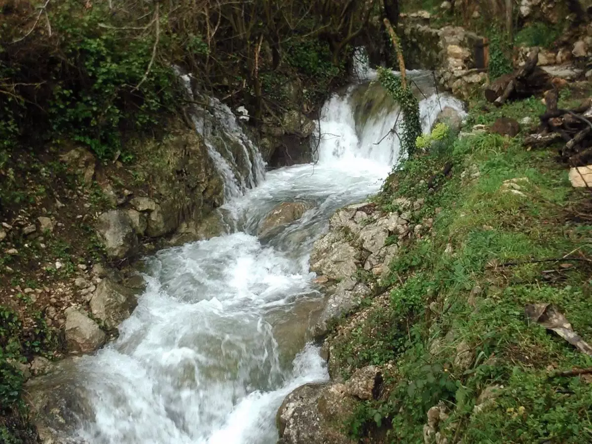 Land 1m² in Montenegro, Bularica. Priced at 250000€ rent photo-3