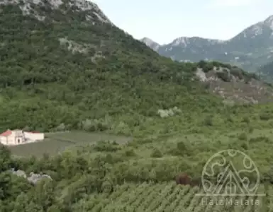 Buy in Montenegro for 15000€