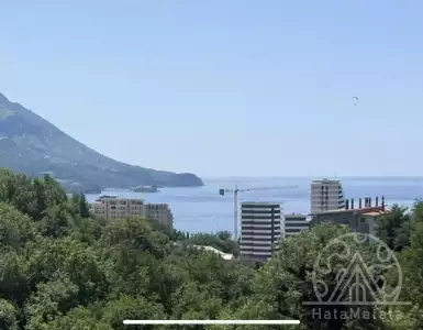 Buy in Montenegro for 85800€