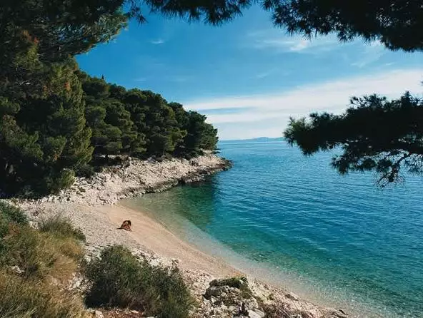 Hotels 800m² in Croatia, Zivogosce. Priced at 2800000€ rent photo-4