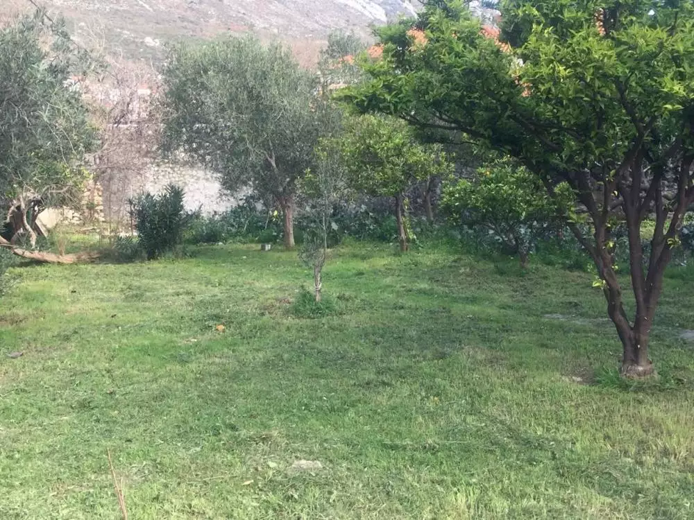 Villa 250m² in Croatia, Mokosica. Priced at 1300000€ rent photo-5