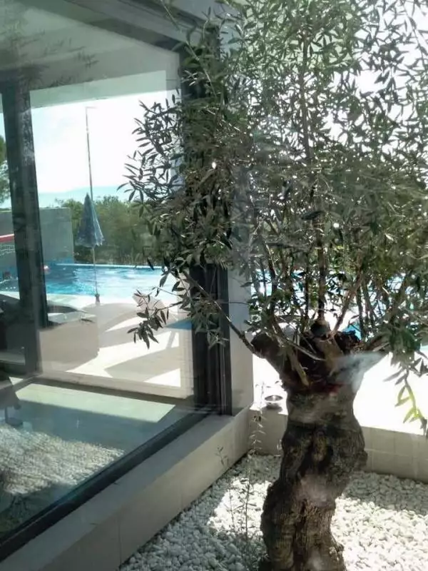 Villa 369m² in Croatia, Kostrena. Priced at 1900000€ rent photo-7