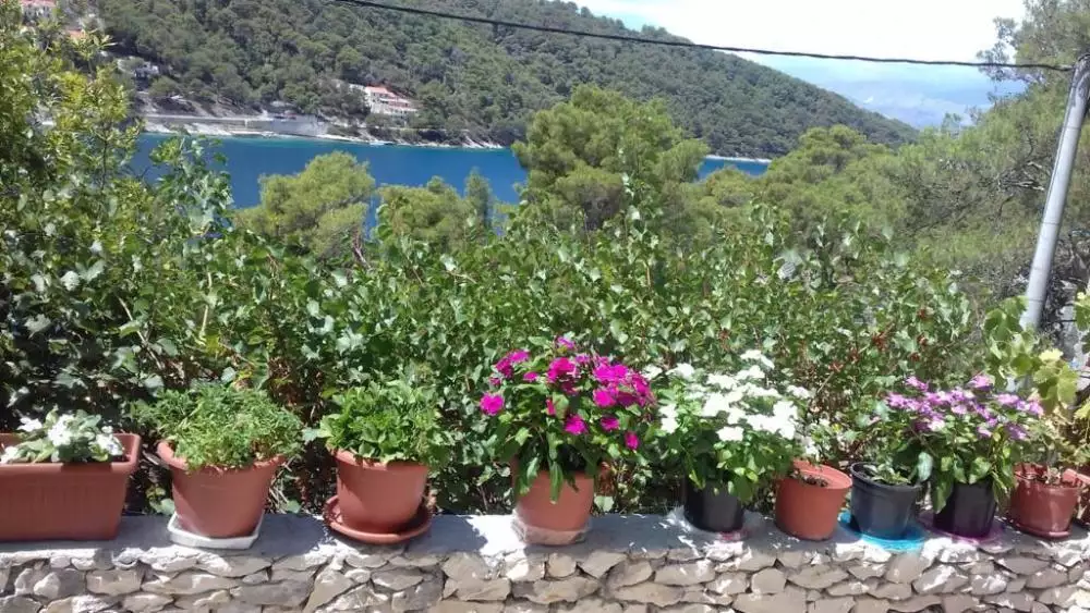 Hotels 200m² in Croatia, Brac. Priced at 599000€ rent photo-9