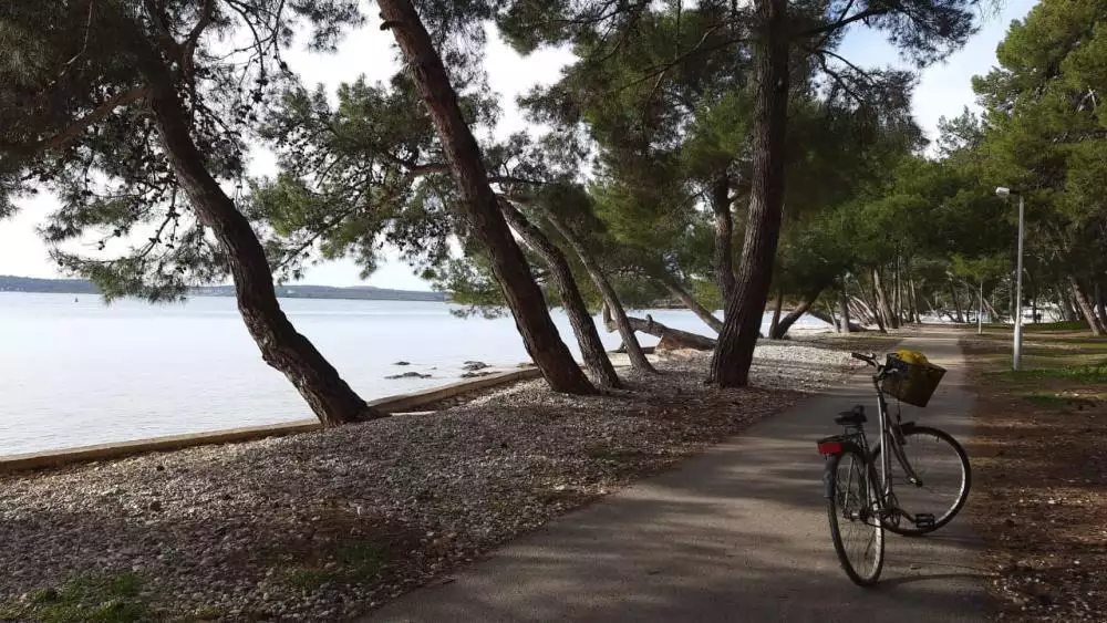 Hotels 1000m² in Croatia, Pula. Priced at 2178000€ rent photo-11