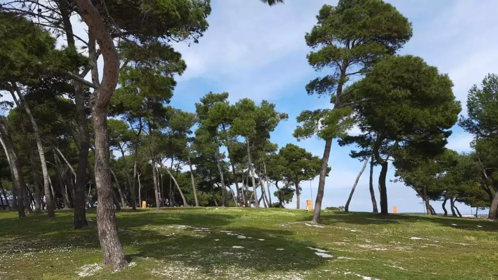 Hotels 1000m² in Croatia, Pula. Priced at 2178000€ rent photo-15