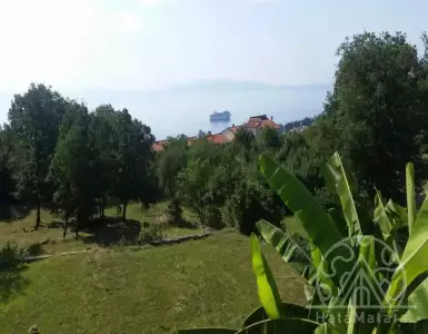 Buy in Croatia for 1450000€