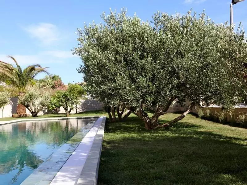 Hotels 628m² in Croatia, Hvar. Priced at 3800000€ rent photo-2