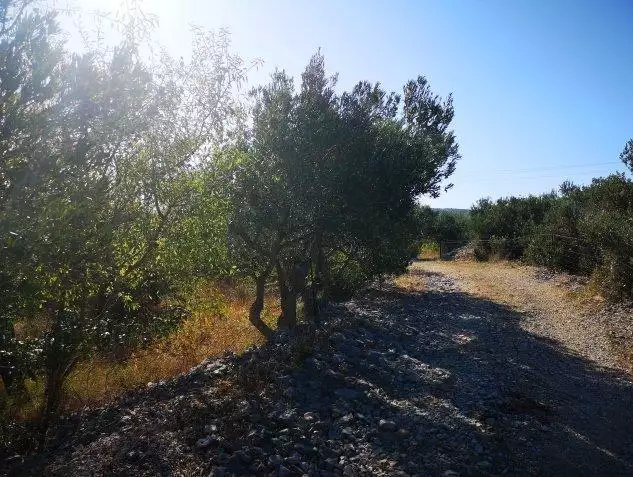 Villa 300m² in Croatia, Milna. Priced at 820000€ rent photo-14