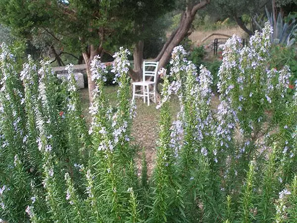 Villa 368m² in Croatia, Unije. Priced at 990000€ rent photo-5