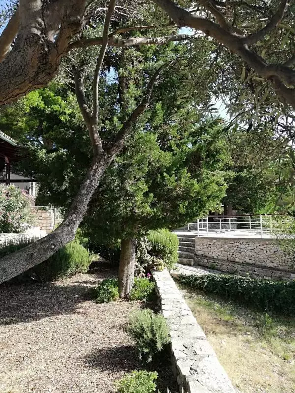 Villa 368m² in Croatia, Unije. Priced at 990000€ rent photo-25