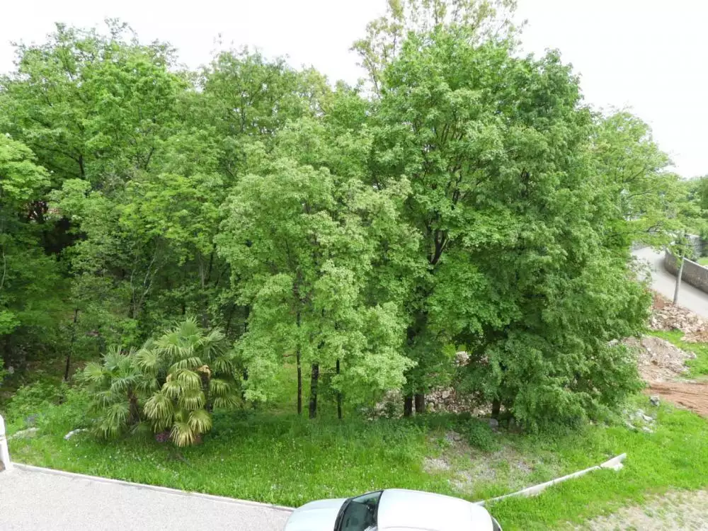 Hotels 550m² in Croatia, Matulji. Priced at 1850000€ rent photo-14
