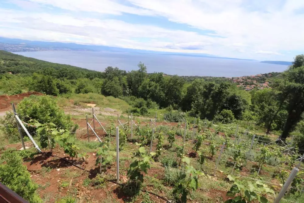 Villa 280m² in Croatia, Opatija. Priced at 1600000€ rent photo-11