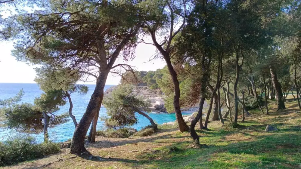 Hotels 900m² in Croatia, Pula. Priced at 3000000€ rent photo-19