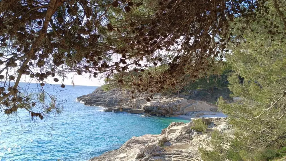 Hotels 900m² in Croatia, Pula. Priced at 3000000€ rent photo-20
