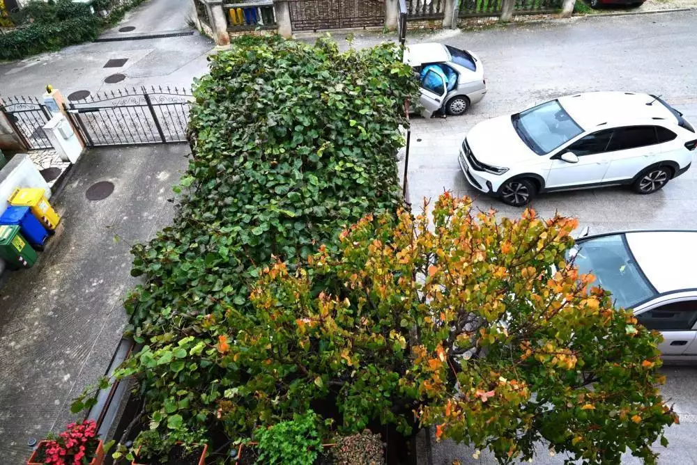Hotels 1007m² in Croatia, Rovinj. Priced at 3000000€ rent photo-11