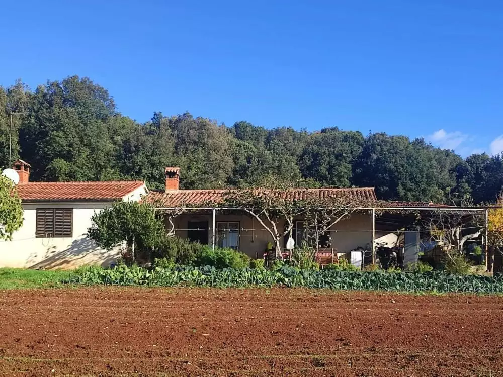 Villa 420m² in Croatia, Rovinj. Priced at 1500000€ rent photo-6