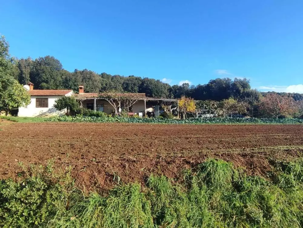 Villa 420m² in Croatia, Rovinj. Priced at 1500000€ rent photo-7