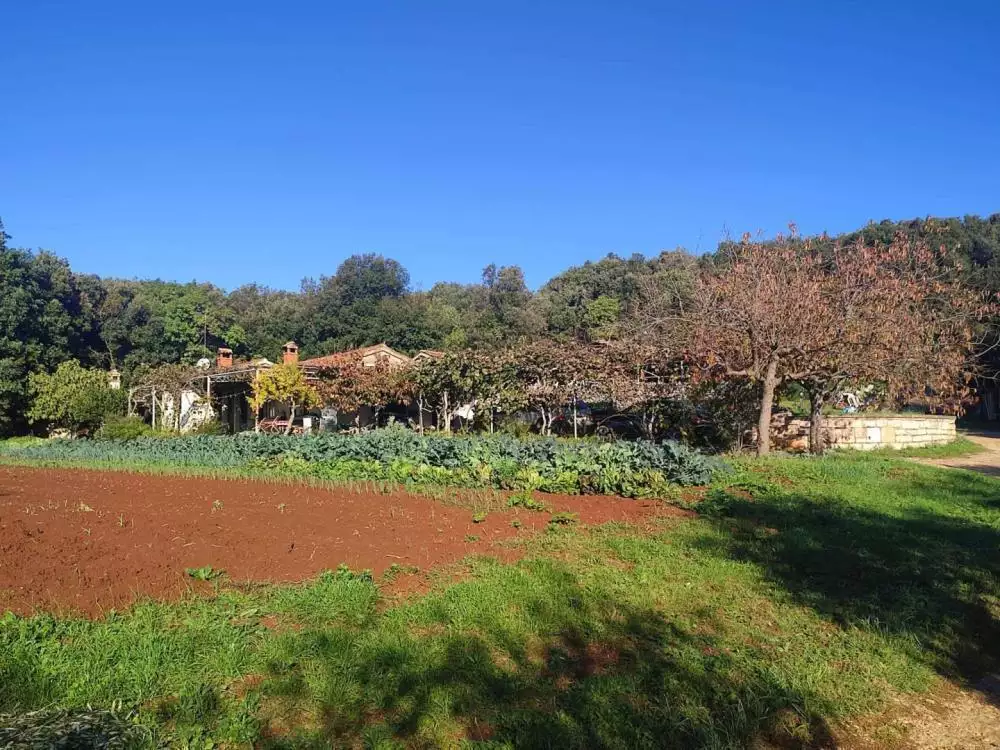 Villa 420m² in Croatia, Rovinj. Priced at 1500000€ rent photo-8
