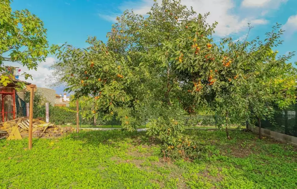 Hotels 508m² in Croatia, Brtonigla. Priced at 950000€ rent photo-2