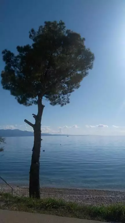 Hotels 835m² in Croatia, Podaca. Priced at 2000000€ rent photo-7