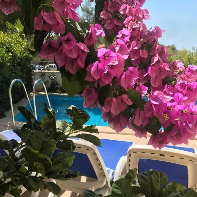 Villa 210m² in Croatia, Supetar. Priced at 1750000€ rent photo-23