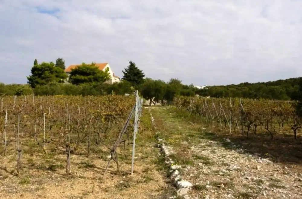 Villa 545m² in Croatia, Murter. Priced at 2950000€ rent photo-25