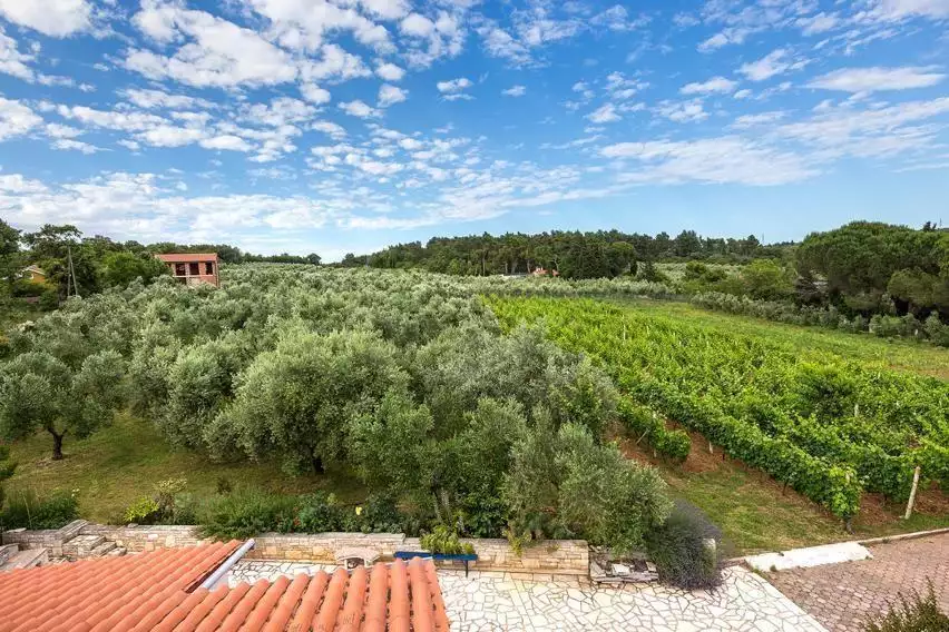 Villa 240m² in Croatia, Medulin. Priced at 2100000€ rent photo-1