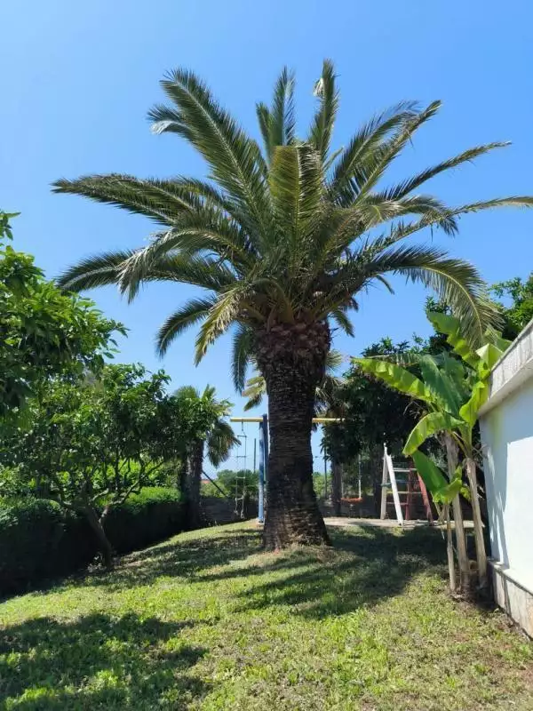 Villa 240m² in Croatia, Medulin. Priced at 2100000€ rent photo-5