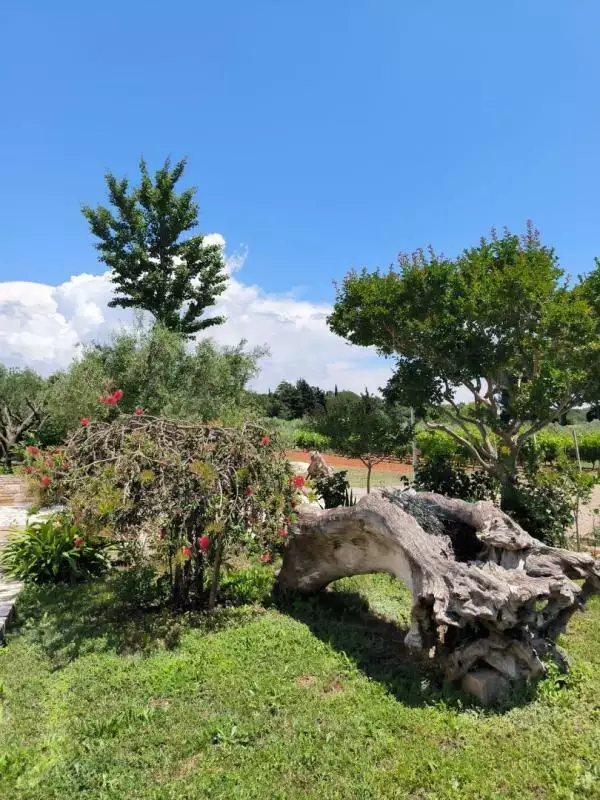 Villa 240m² in Croatia, Medulin. Priced at 2100000€ rent photo-7