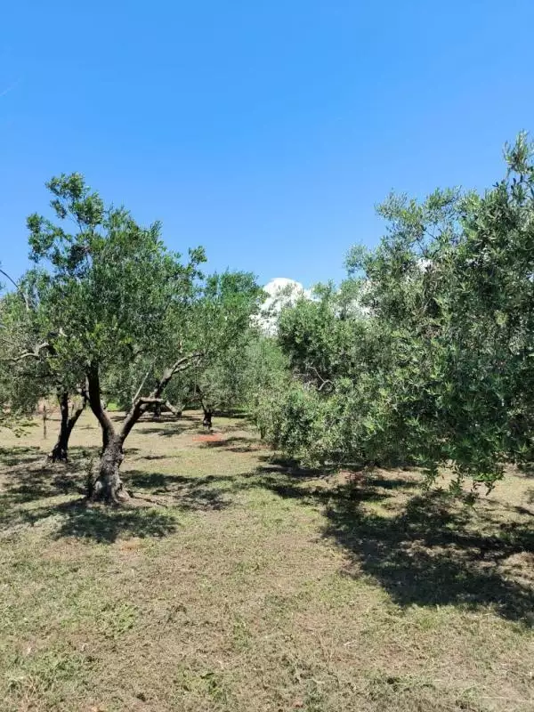 Villa 240m² in Croatia, Medulin. Priced at 2100000€ rent photo-24