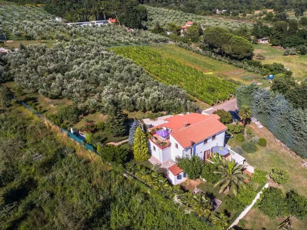 Villa 240m² in Croatia, Medulin. Priced at 2100000€ rent photo-25