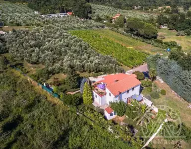 Buy in Croatia for 2100000€