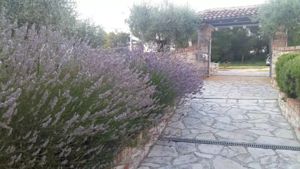 Hotels 800m² in Croatia, Umag. Priced at 1800000€ rent photo-4