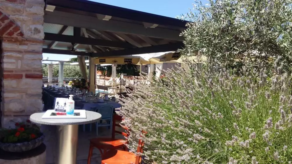 Hotels 800m² in Croatia, Umag. Priced at 1800000€ rent photo-7