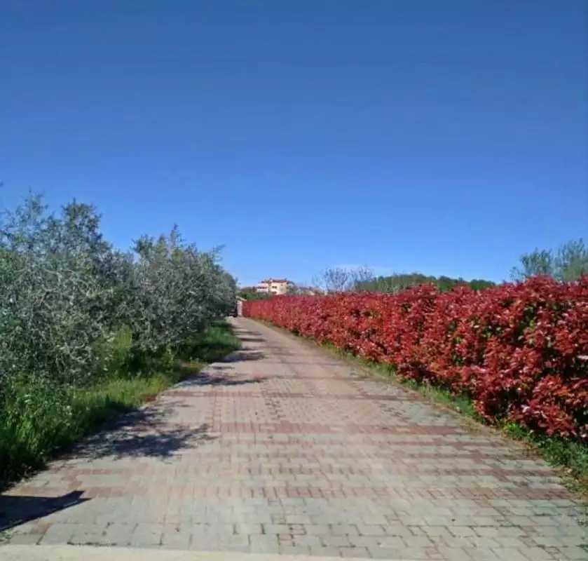 Villa 165m² in Croatia, Novigrad. Priced at 1100000€ rent photo-19