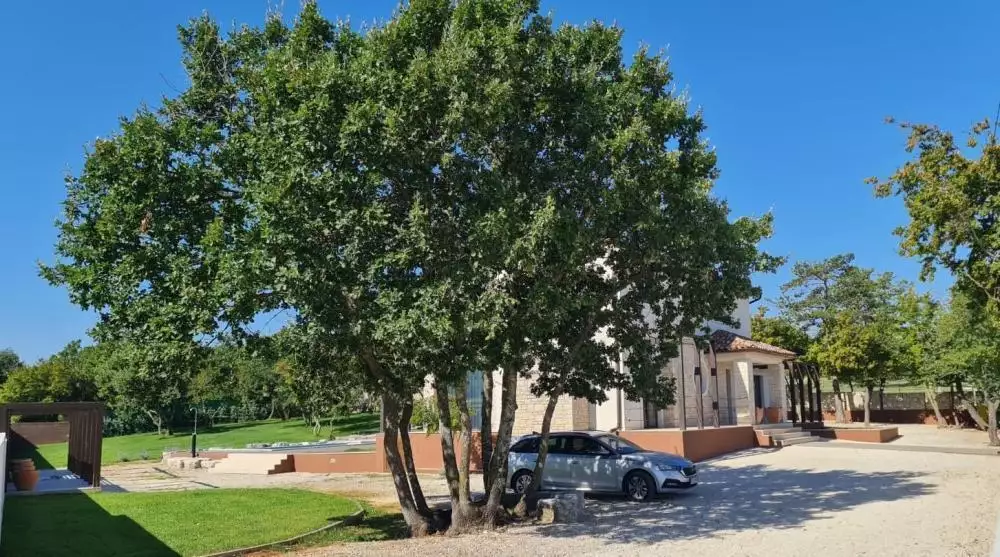Villa 159m² in Croatia, Barban. Priced at 635000€ rent photo-5