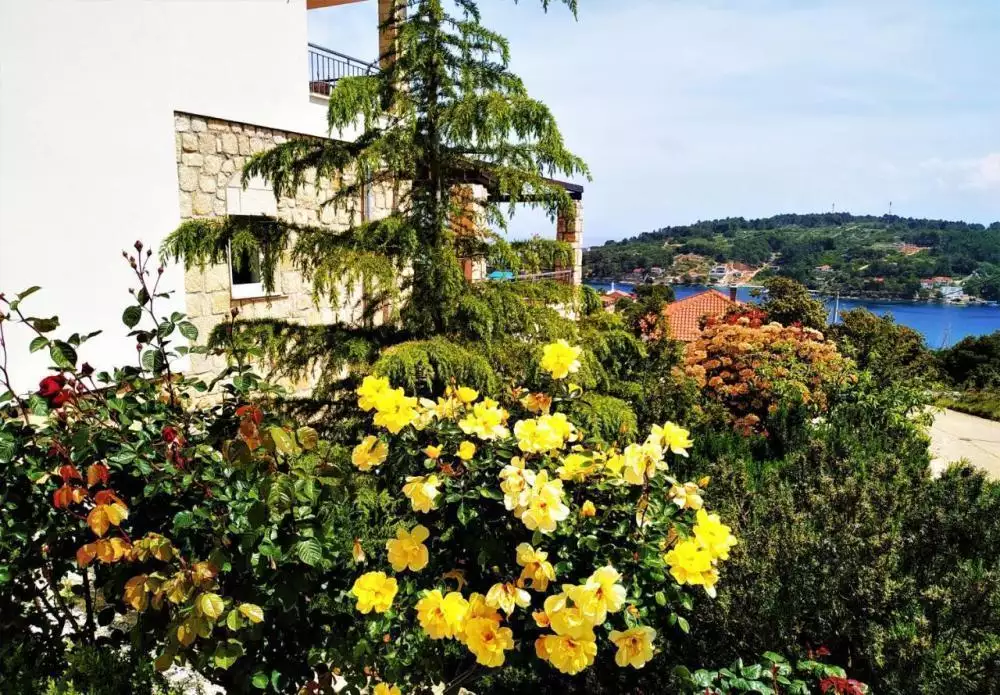 Hotels 429m² in Croatia, Solta. Priced at 885000€ rent photo-24