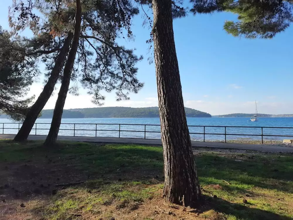 Hotels 331m² in Croatia, Medulin. Priced at 990000€ rent photo-1