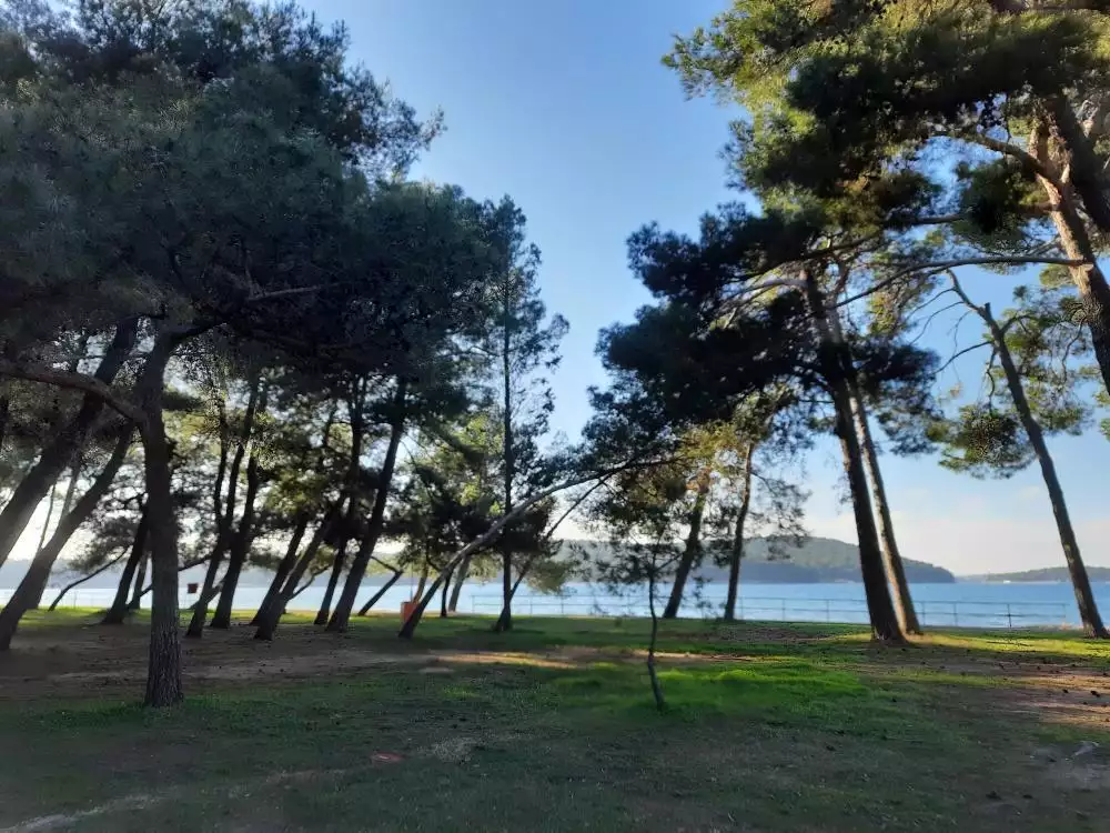 Hotels 331m² in Croatia, Medulin. Priced at 990000€ rent photo-15