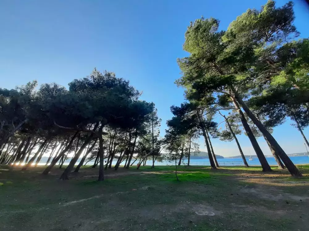 Hotels 331m² in Croatia, Medulin. Priced at 990000€ rent photo-16