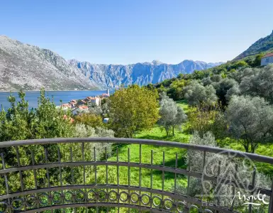 Buy in Montenegro for 550000€