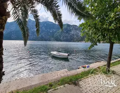 Buy in Montenegro for 3000000€