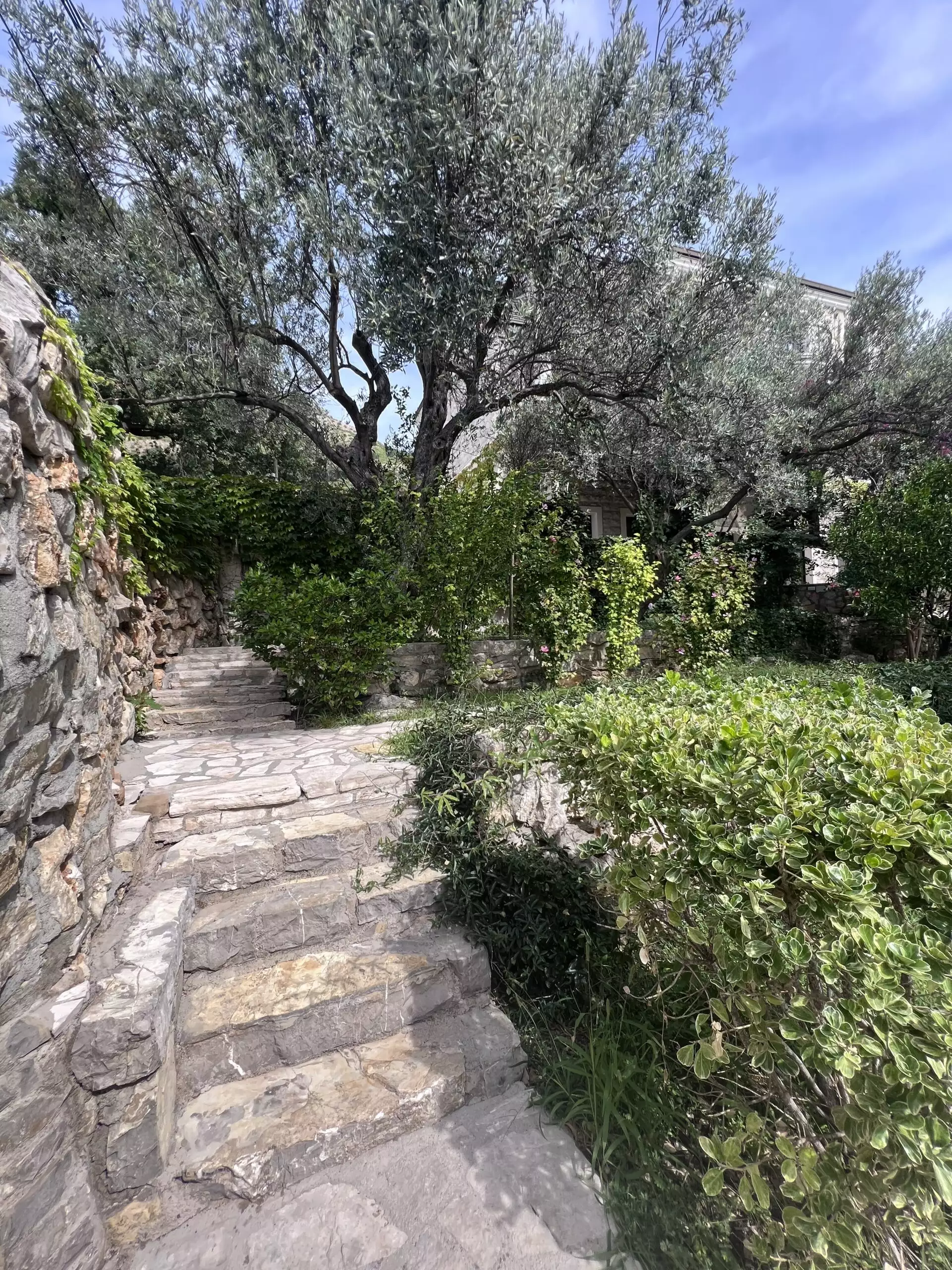 Villa 550m² in Montenegro, Rezevici. Priced at 3500000€ rent photo-23