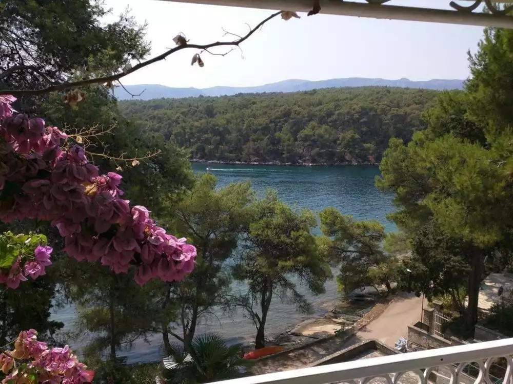 Hotels 220m² in Croatia, Vrboska. Priced at 750000€ rent photo-3