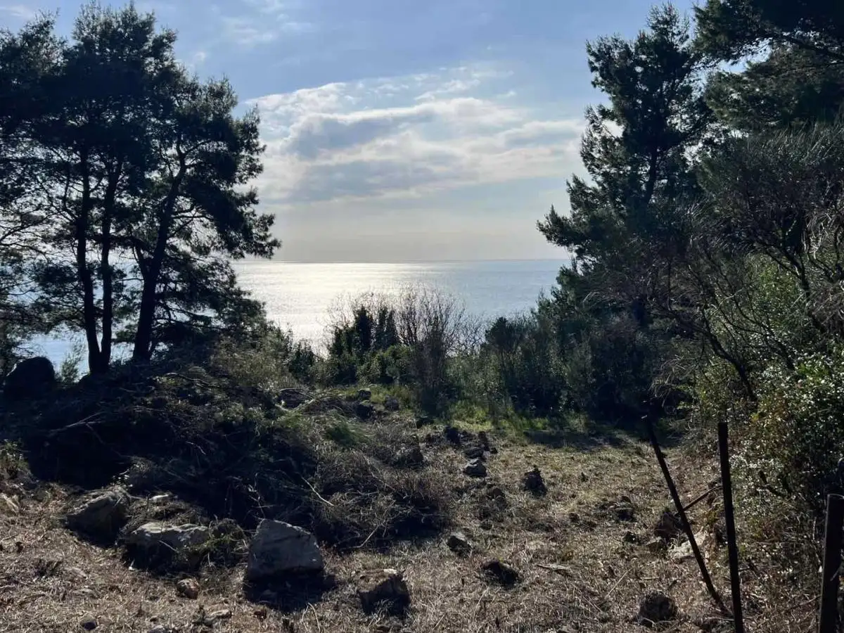 Land 1m² in Montenegro, Ratac. Priced at 59000€ rent photo-6