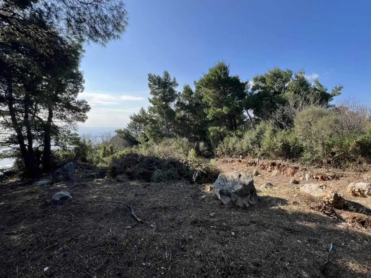 Land 1m² in Montenegro, Ratac. Priced at 59000€ rent photo-7