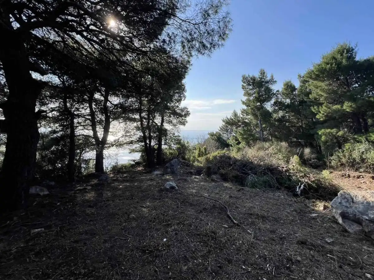Land 1m² in Montenegro, Ratac. Priced at 59000€ rent photo-8