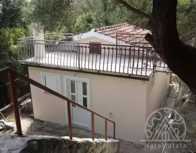 Buy in Montenegro for 65000€