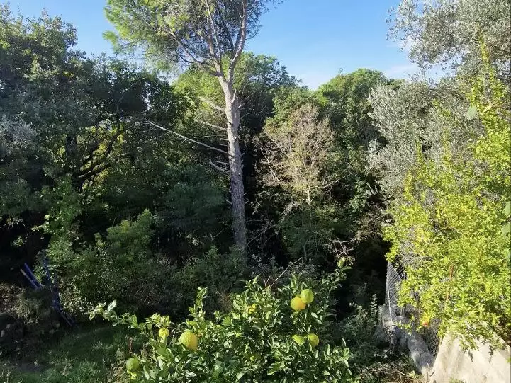 House 80m² in Montenegro, Ratac. Priced at 107000€ rent photo-34